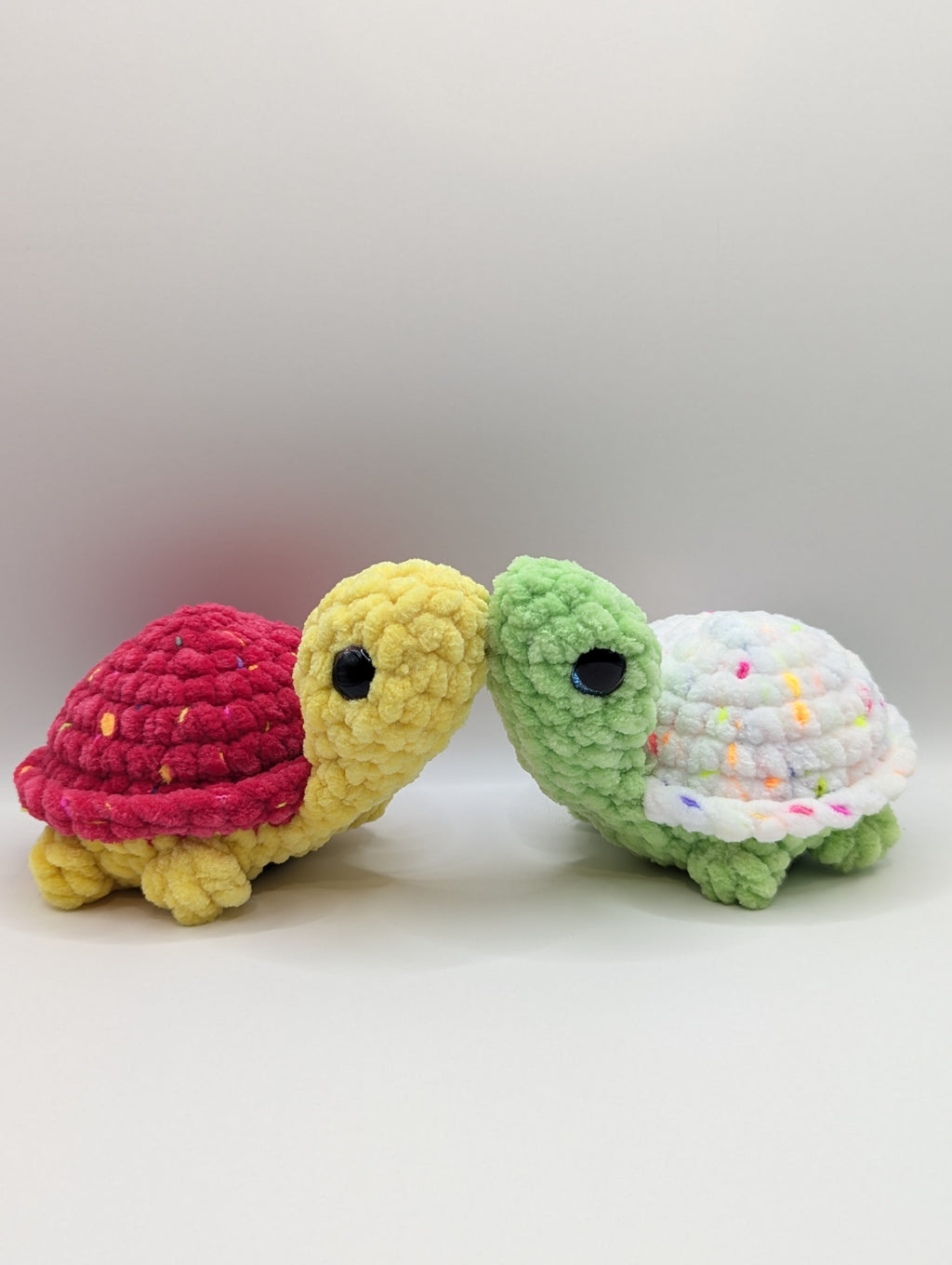 Pebble the Baby Turtle