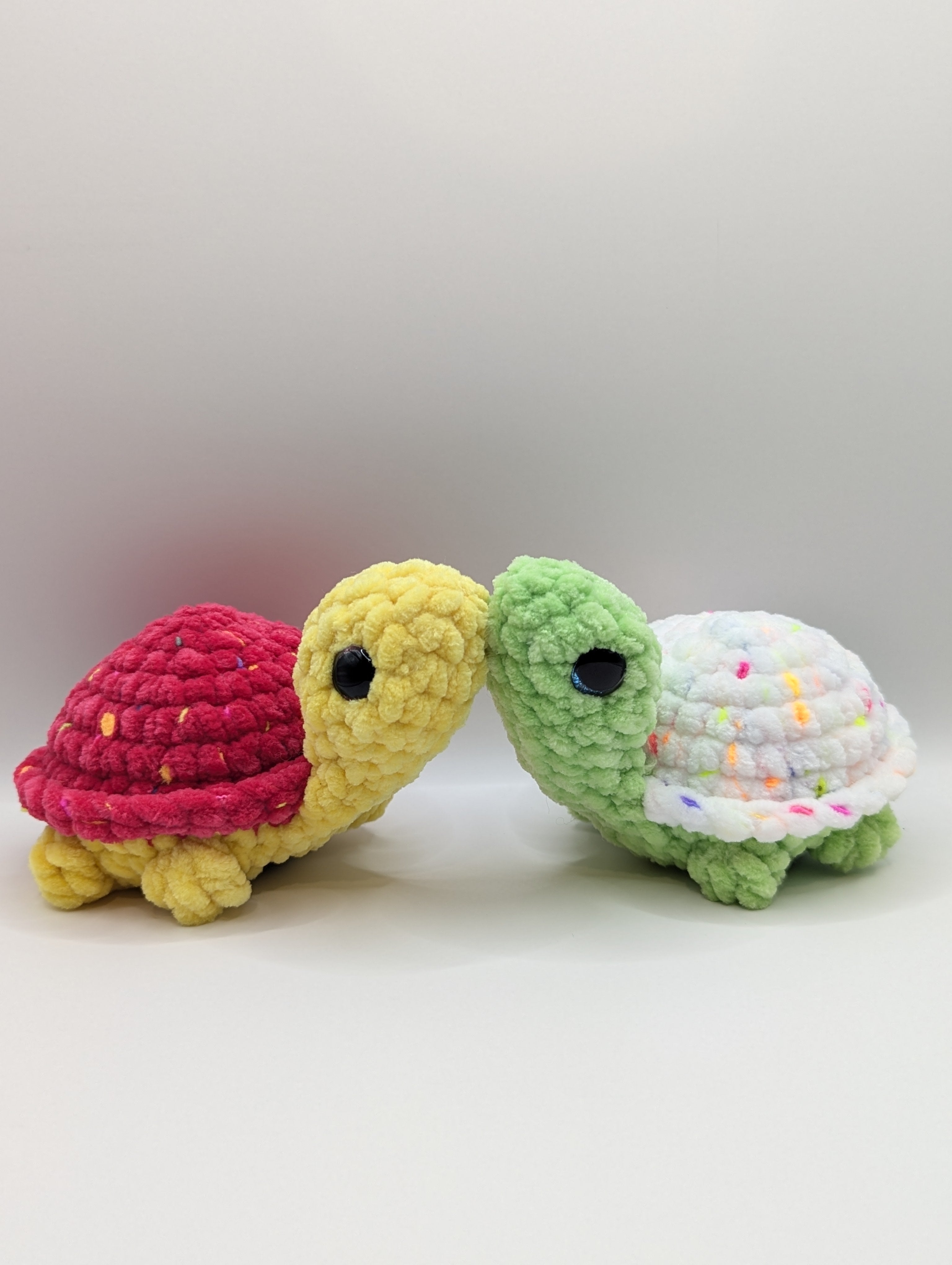 Pebble the Baby Turtle