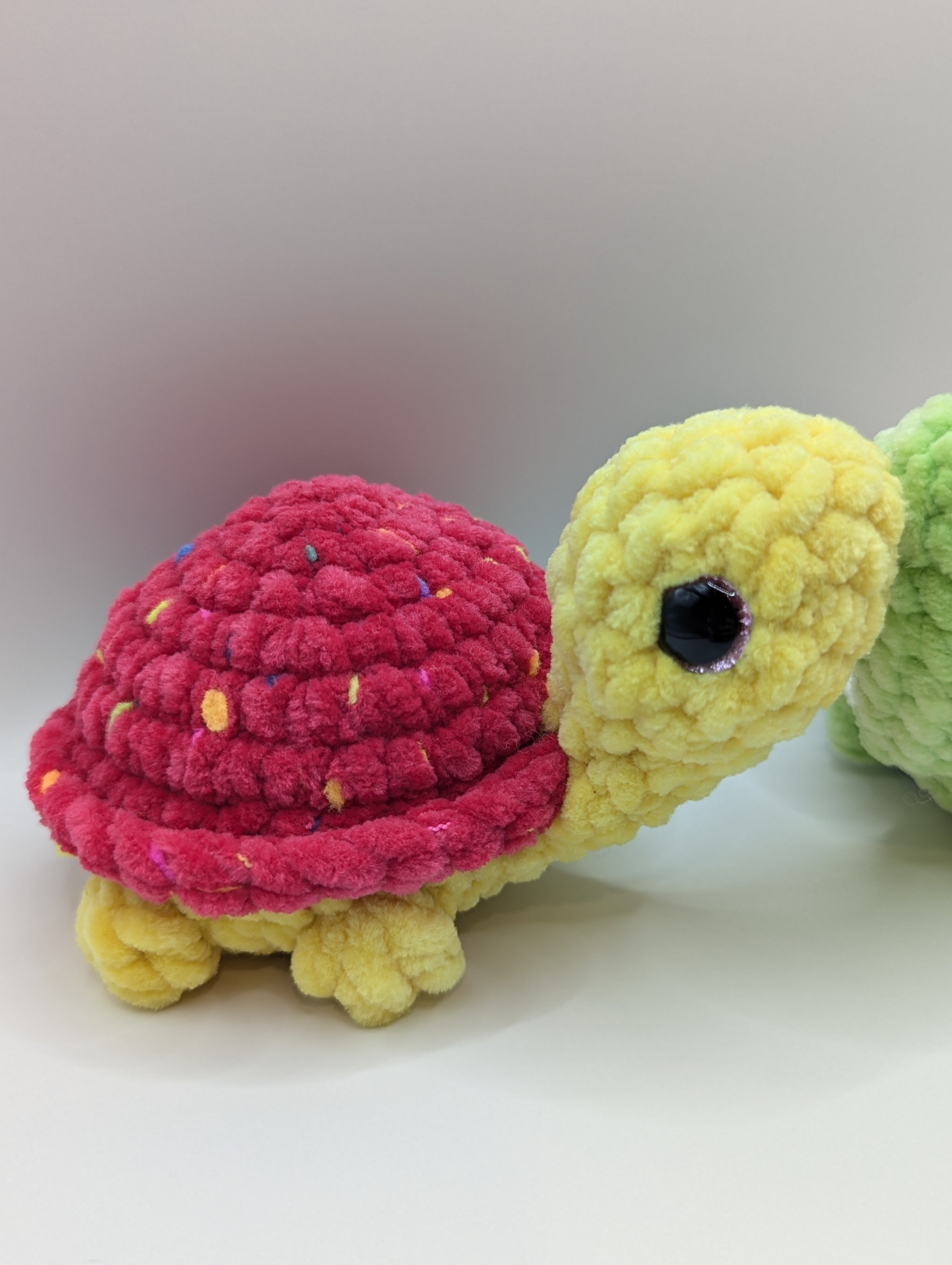 Pebble the Baby Turtle