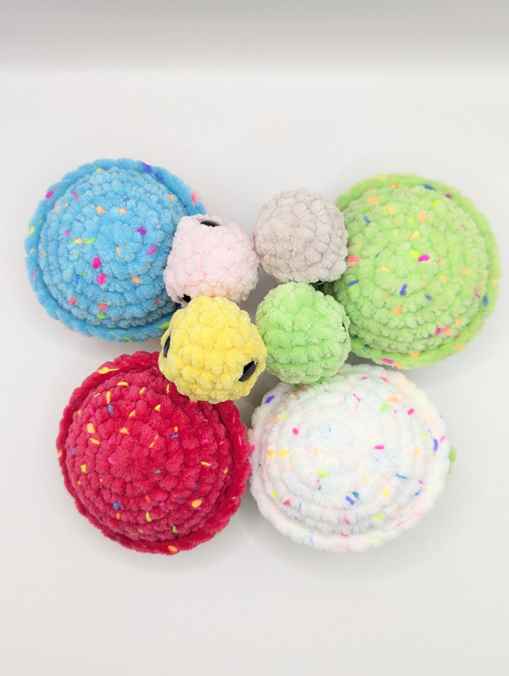 Pebble the Baby Turtle