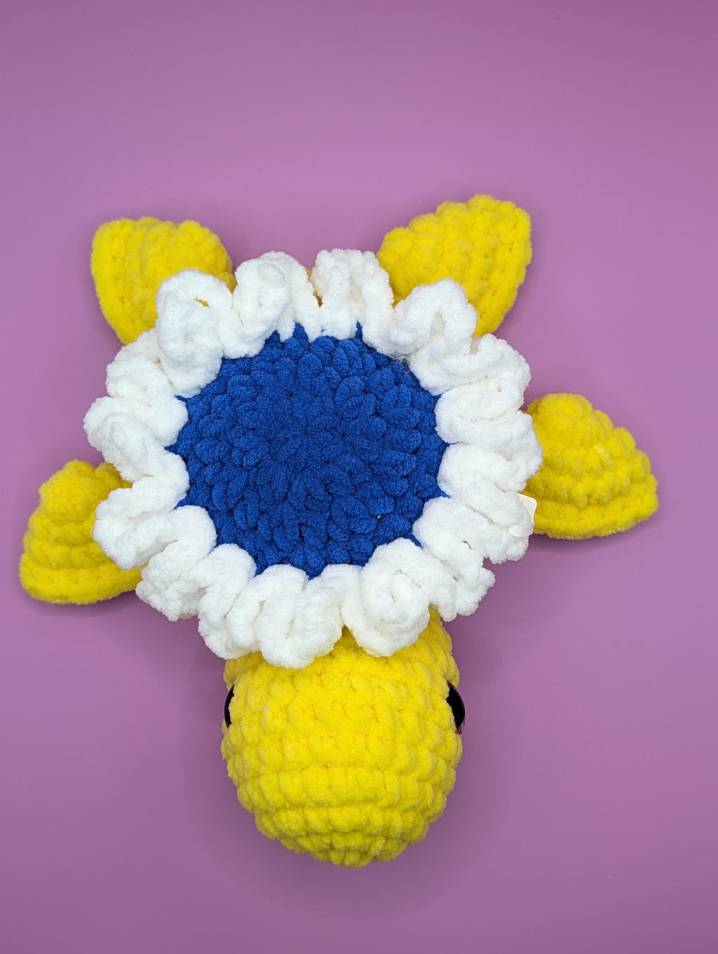 Daisy the Turtle
