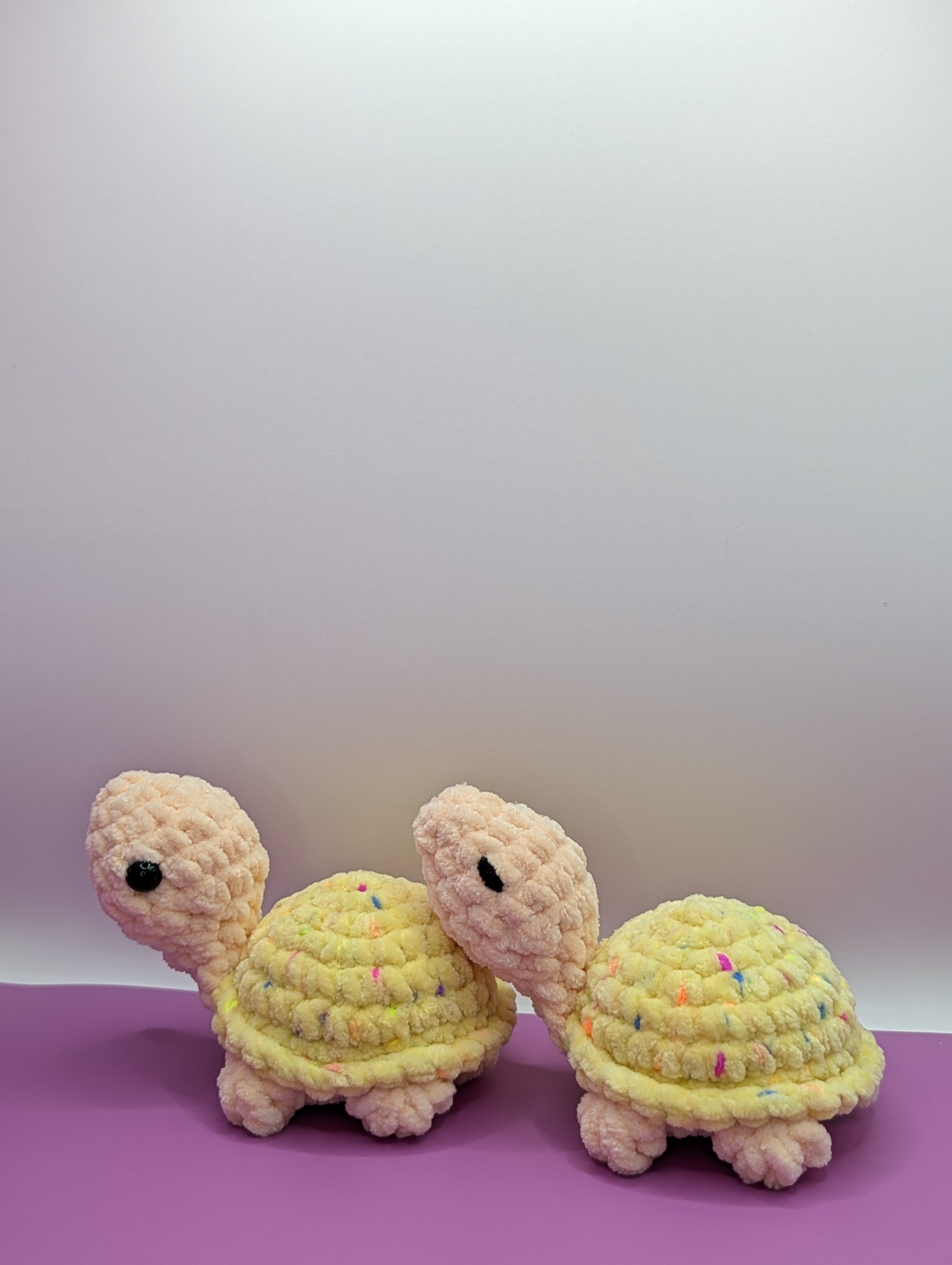 Pebble the Baby Turtle