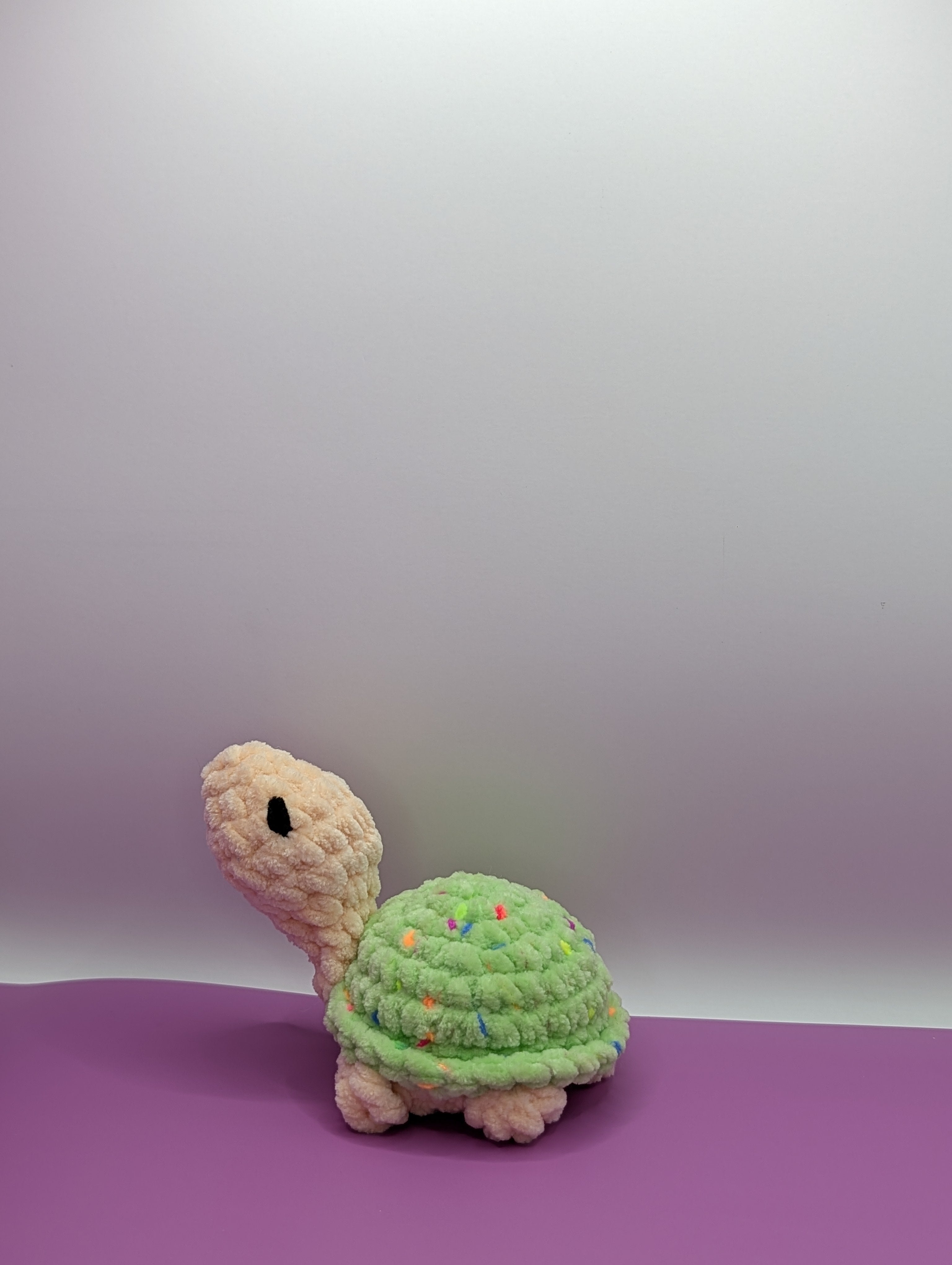Pebble the Baby Turtle