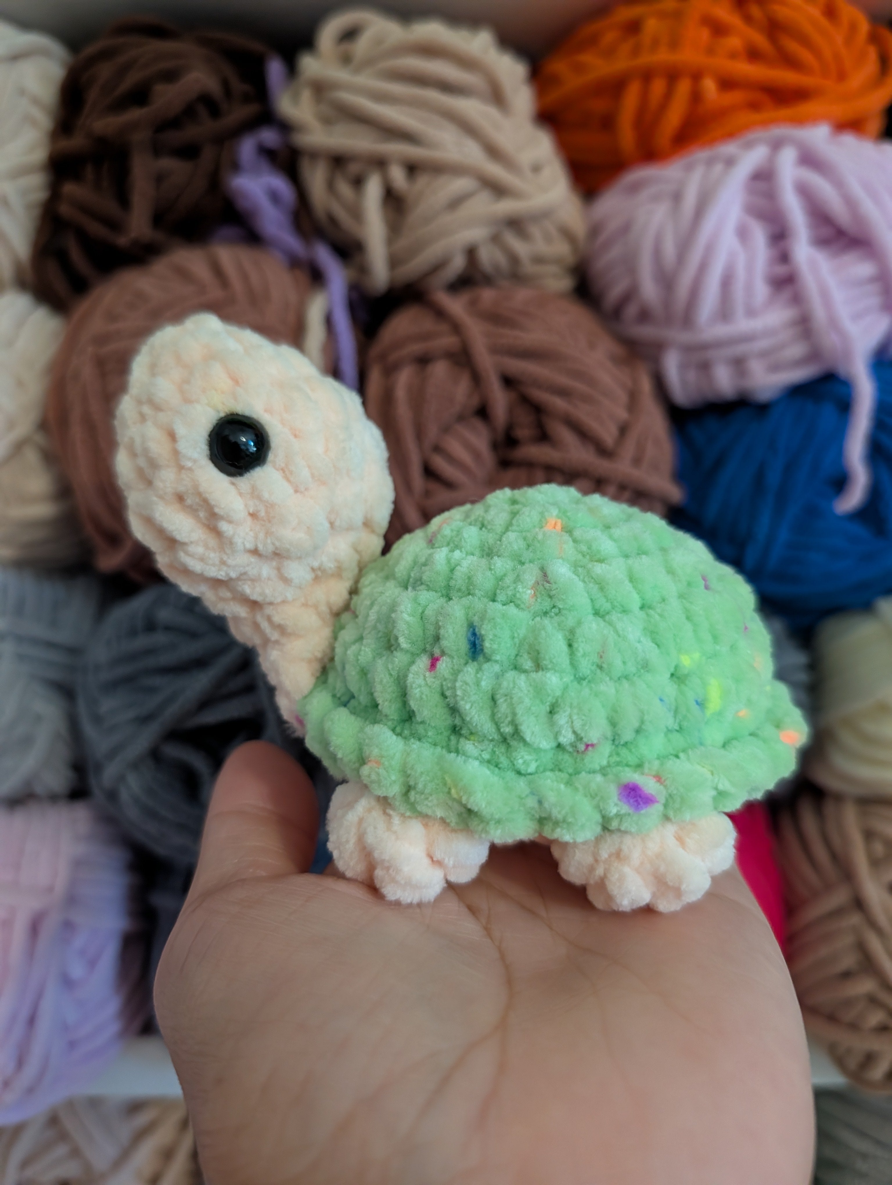Pebble the Baby Turtle